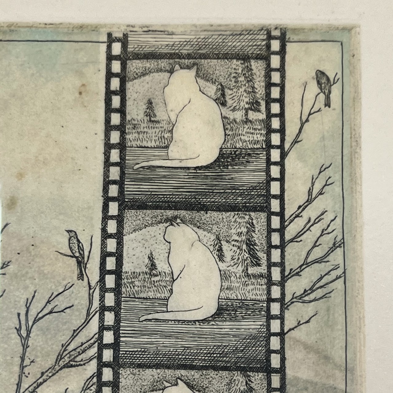 Amy Adshead 'White Cat, Film Noir' Signed Etching, 1996