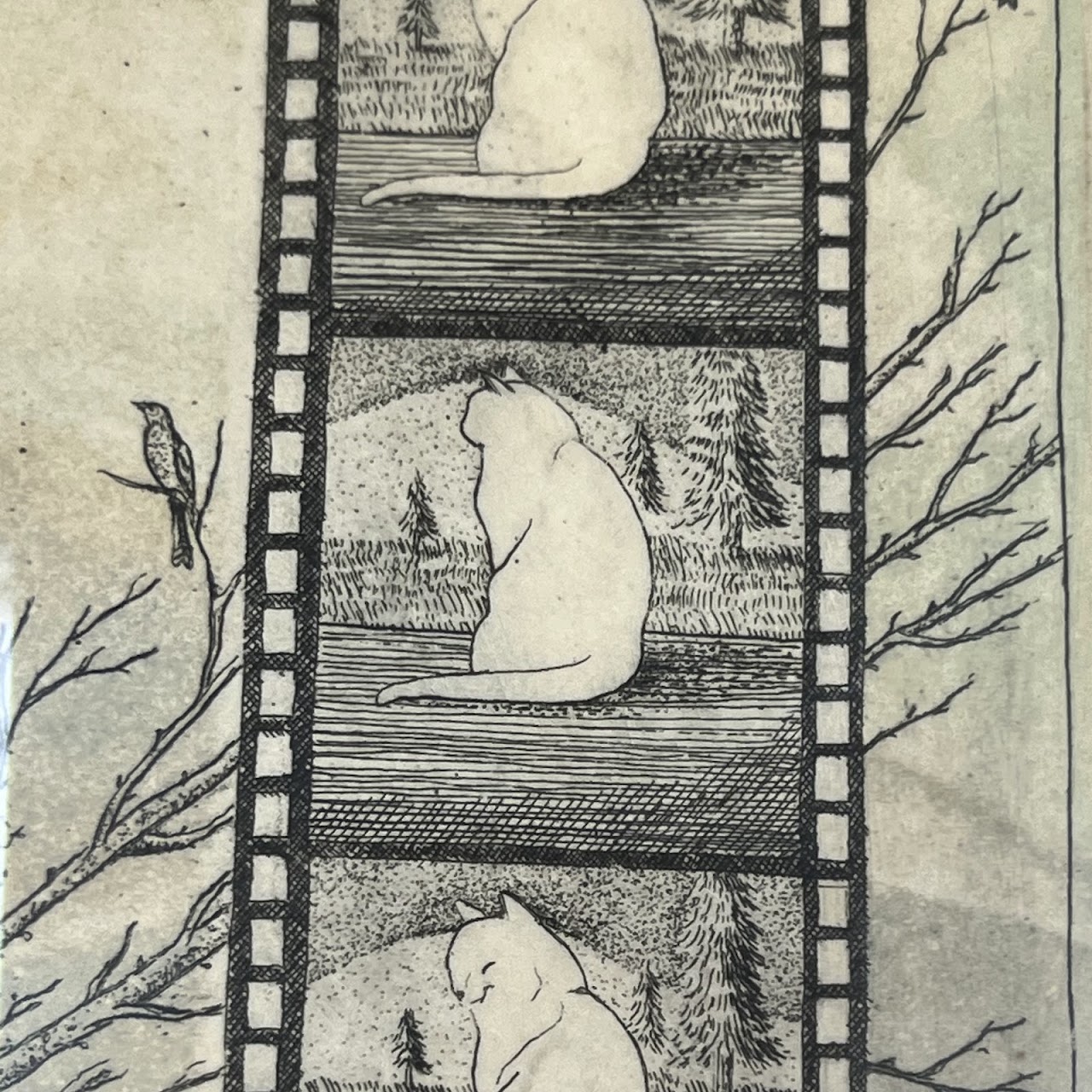 Amy Adshead 'White Cat, Film Noir' Signed Etching, 1996