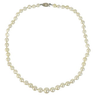 Cultured Pearl Strand with 14K Yellow Gold Clasp