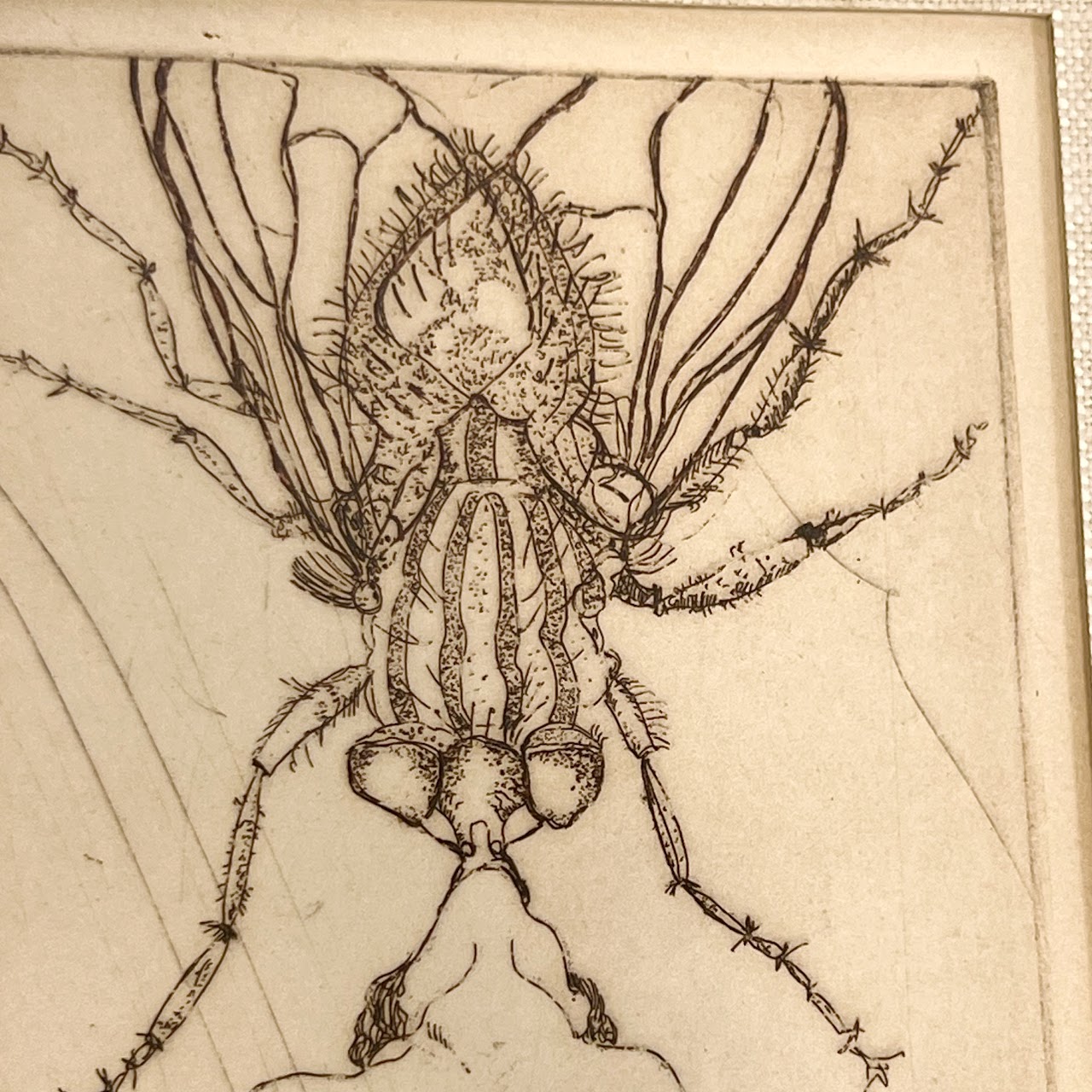 Karen Levy Signed Figure with Insect Surrealist Etching