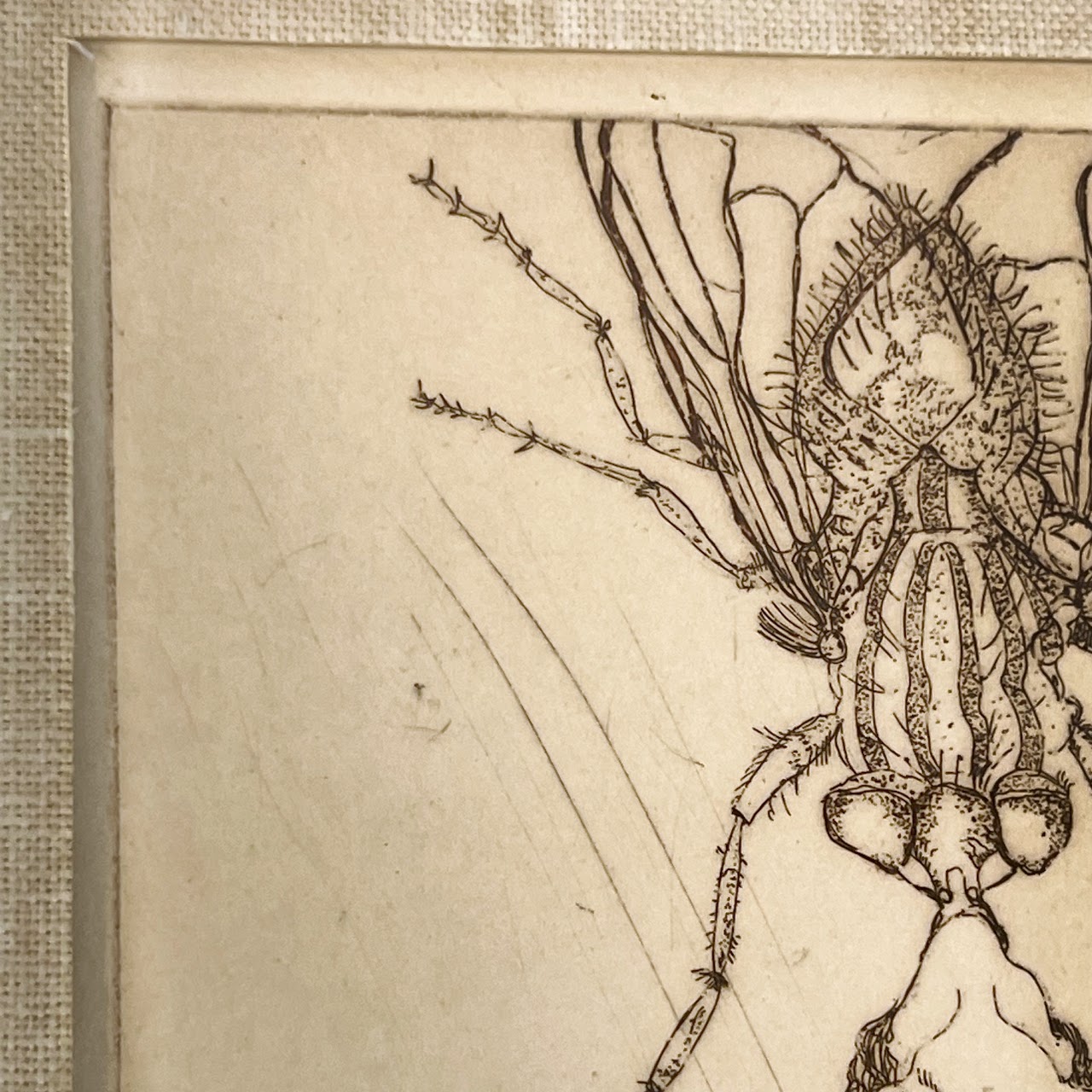 Karen Levy Signed Figure with Insect Surrealist Etching