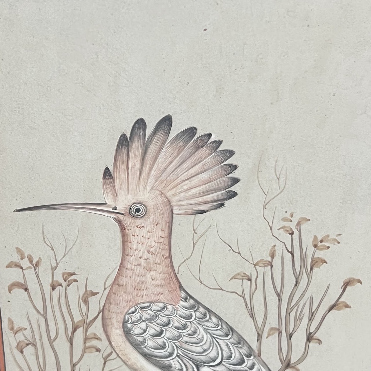 Indian School Hoopoe Bird Signed Gouache Painting