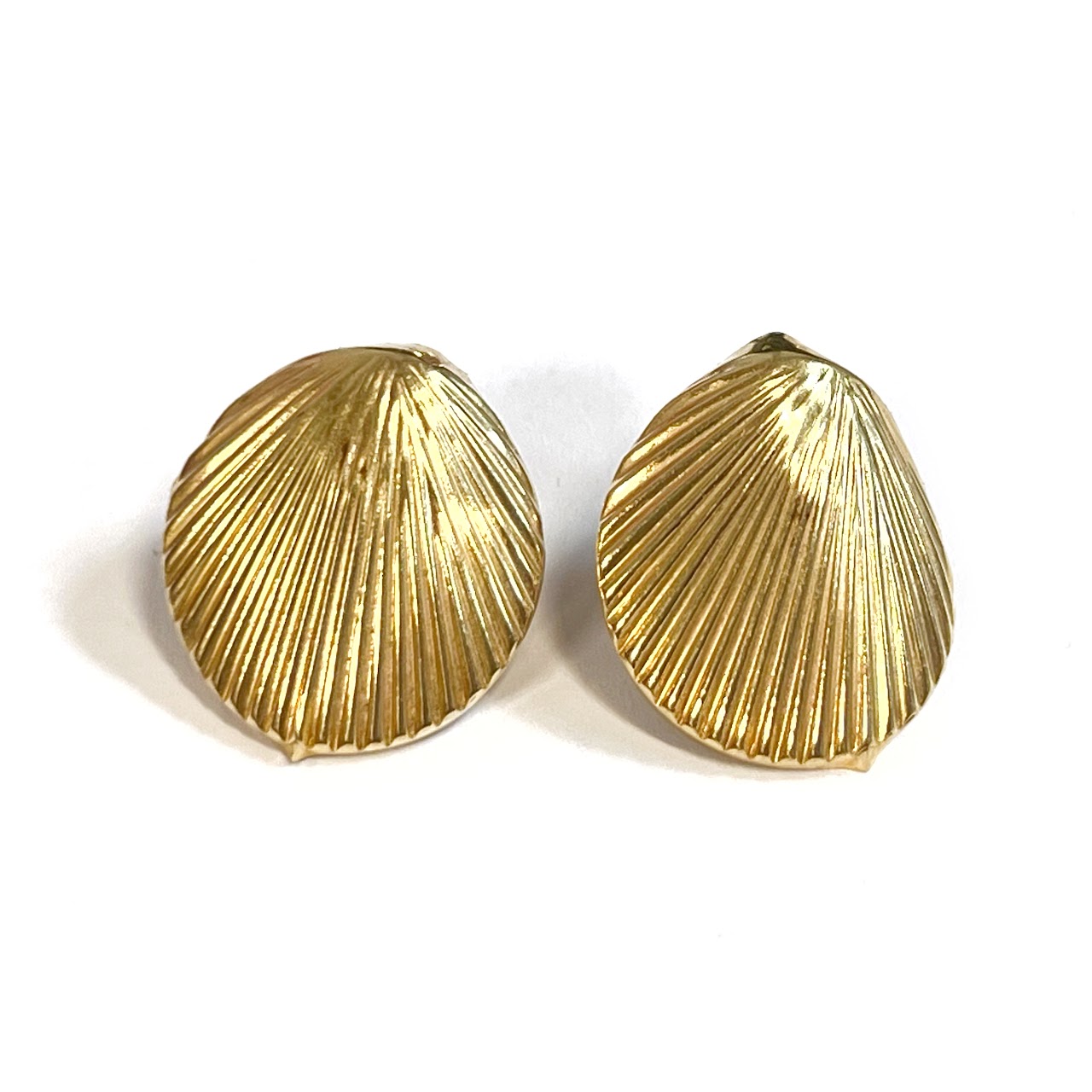 14K Gold Seashell Earrings