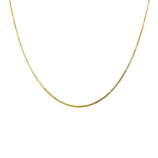 14K Gold Flat Chain Necklace