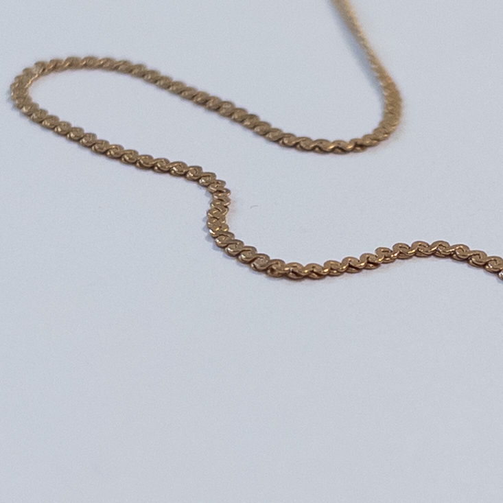 14K Gold 'S' Chain Necklace and Pendant