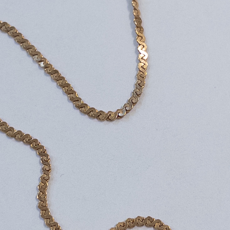 14K Gold 'S' Chain Necklace and Pendant