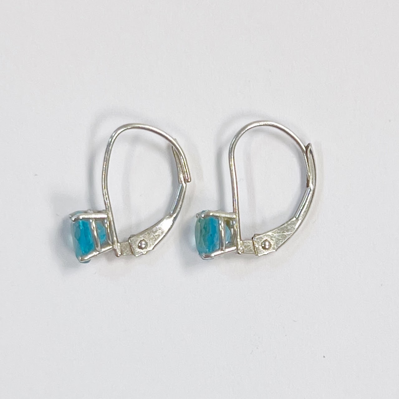 14K White Gold and Aquamarine Earrings