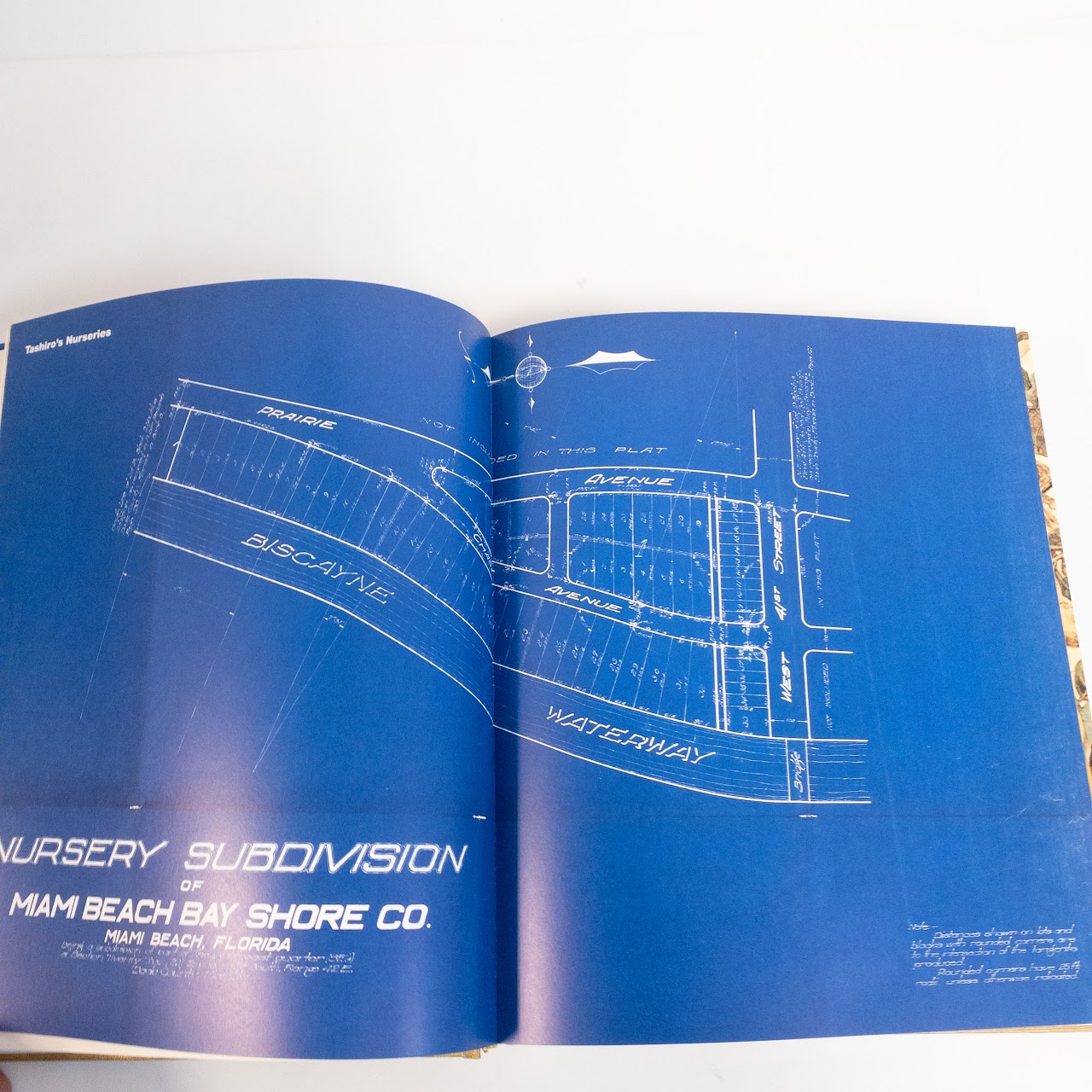 Signed and Numbered 'Miami Beach: Blueprint of Eden'  Rare Book