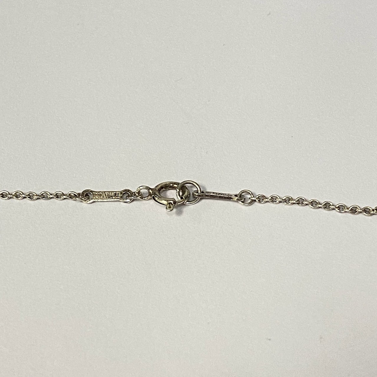 Tiffany & Co. X Elsa Peretti Sterling Silver Disc Necklace