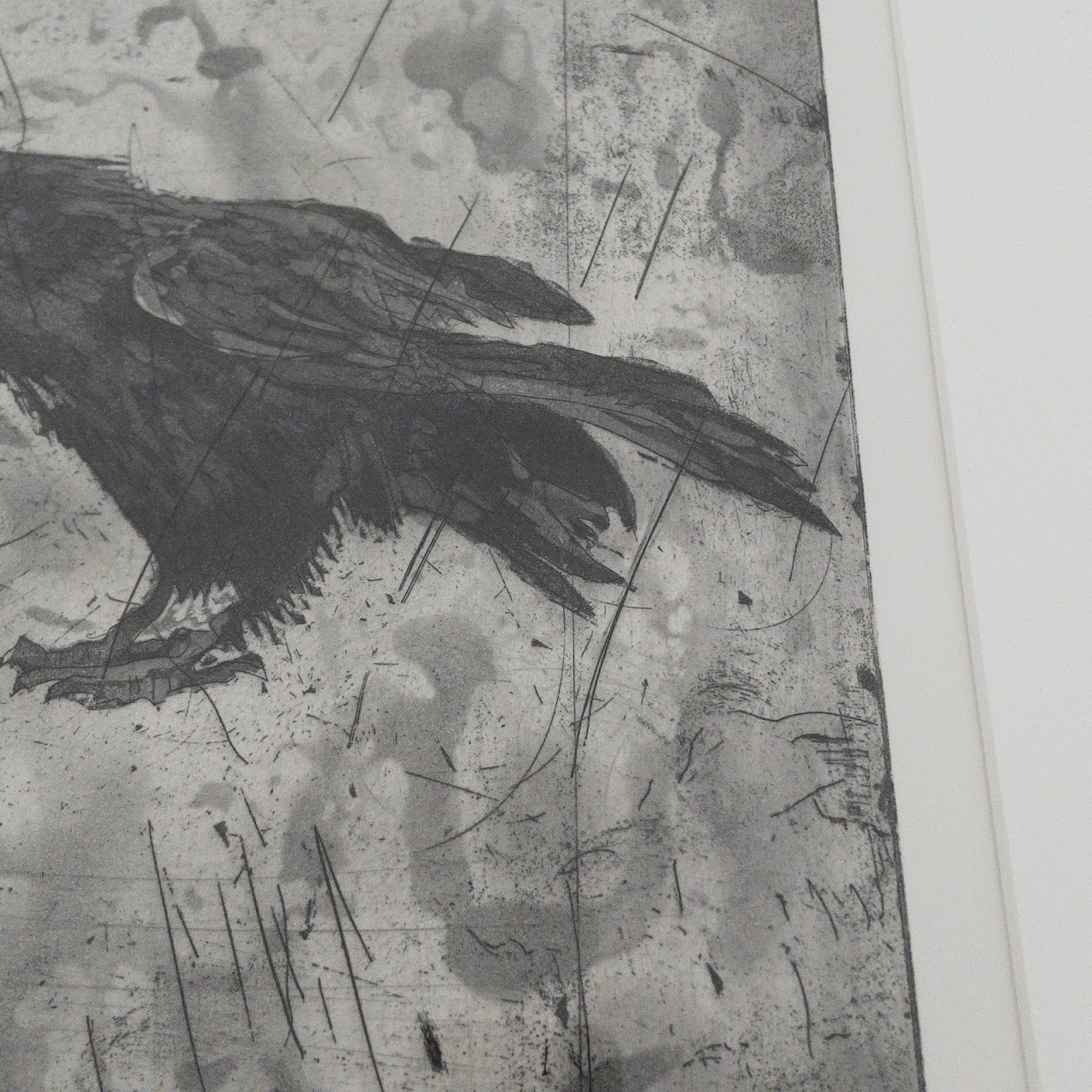 Lynn Peterfreund Signed 'A Murder of Crows 8' Etching