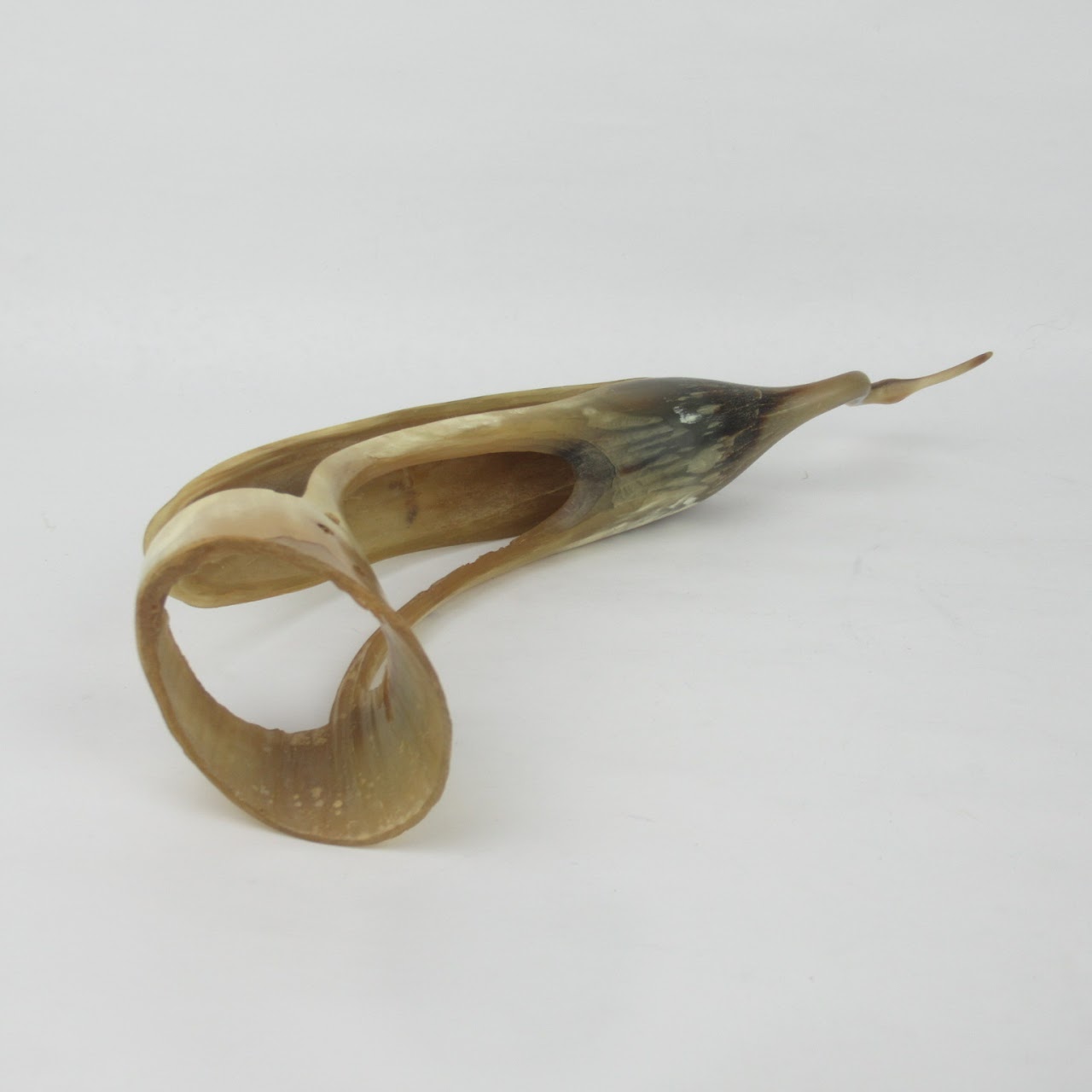 Carved Horn Egret Sculpture