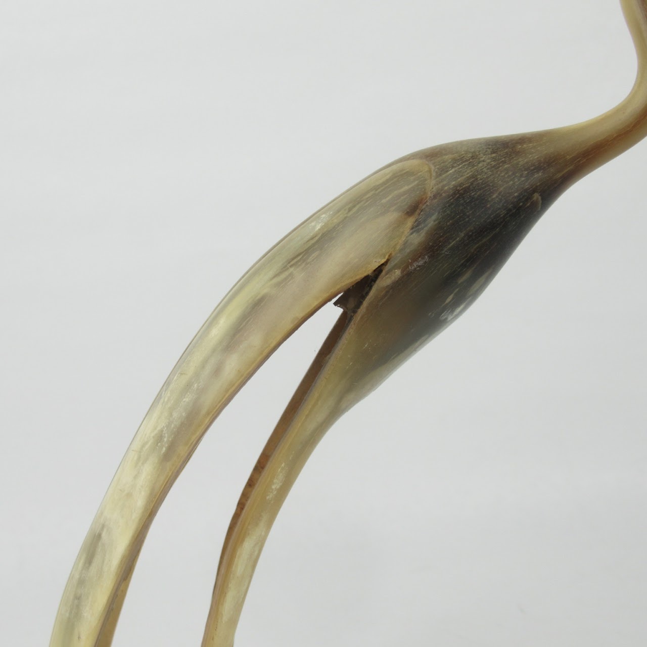 Carved Horn Egret Sculpture