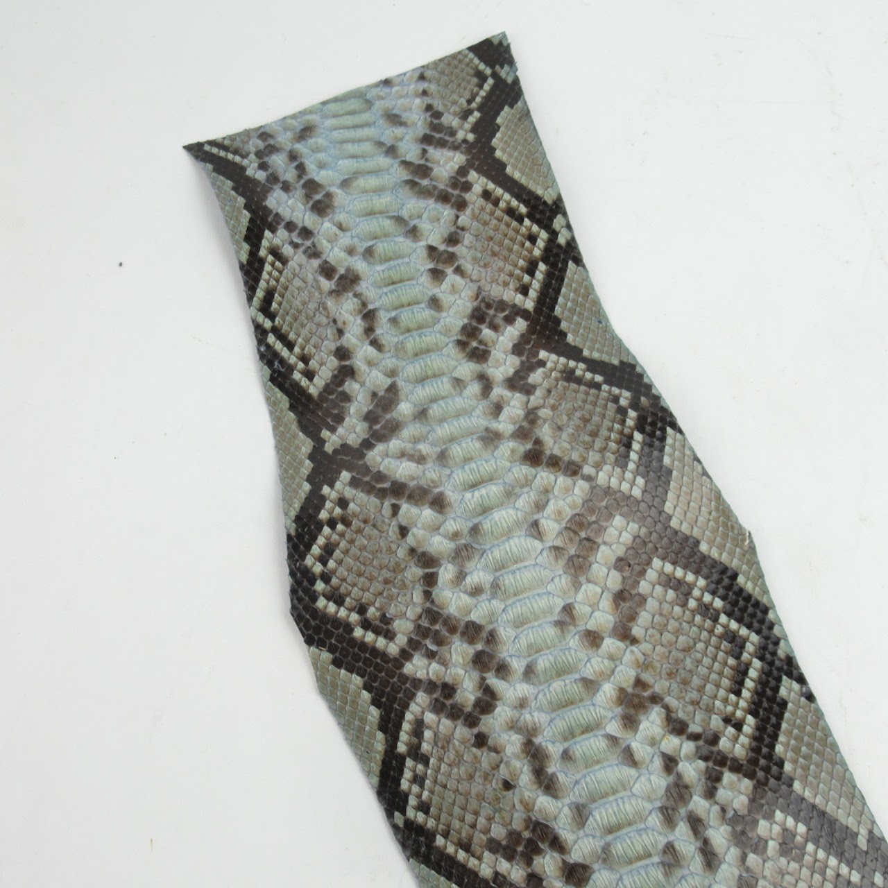 Python Skin #1