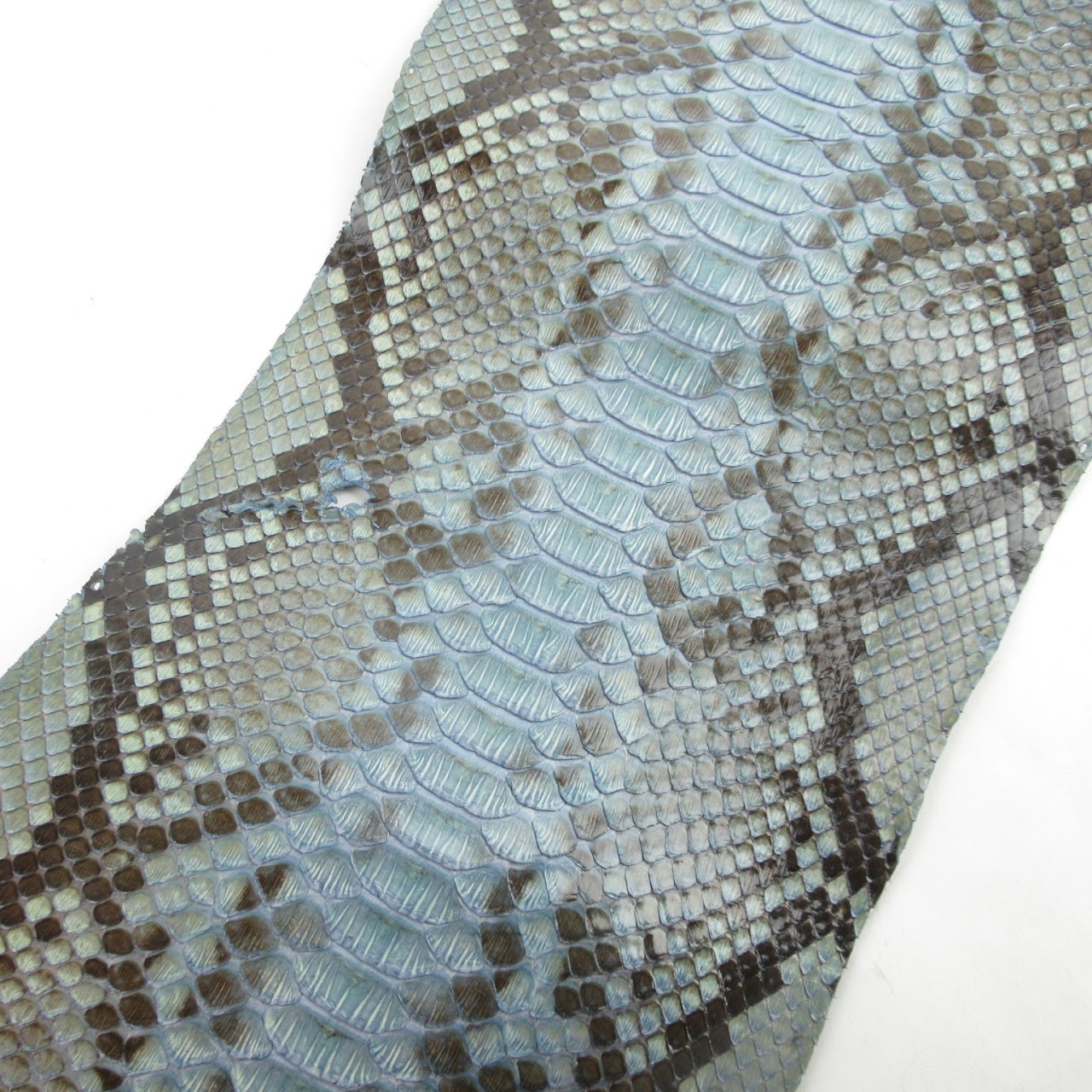 Python Skin #2