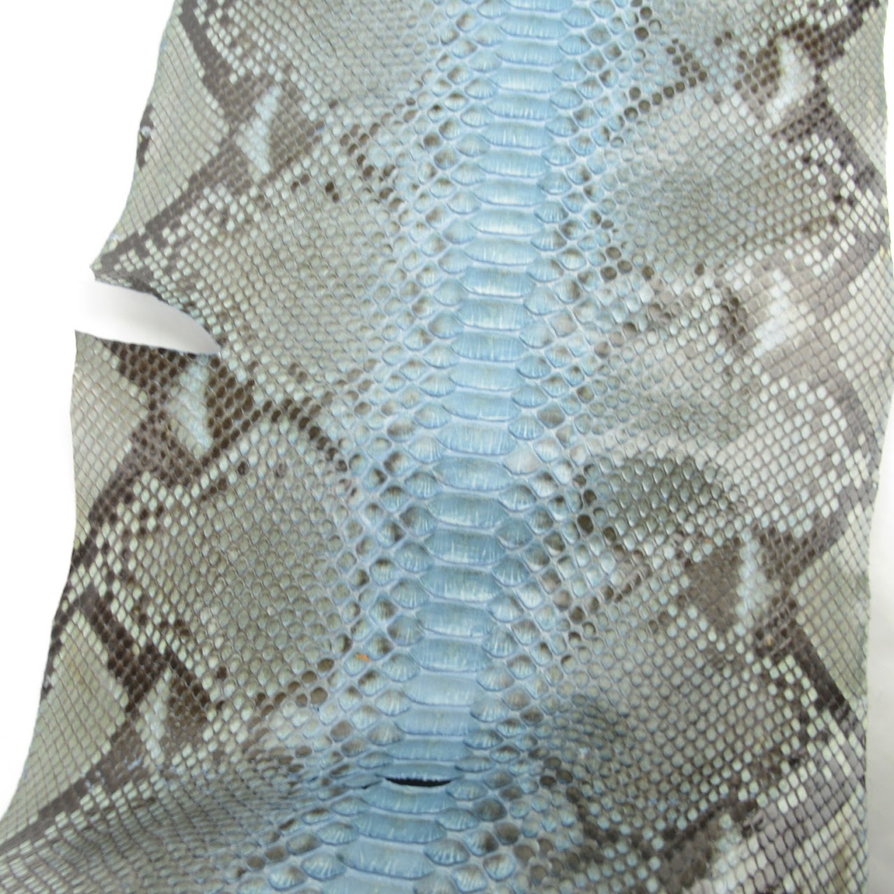 Python Skin #2