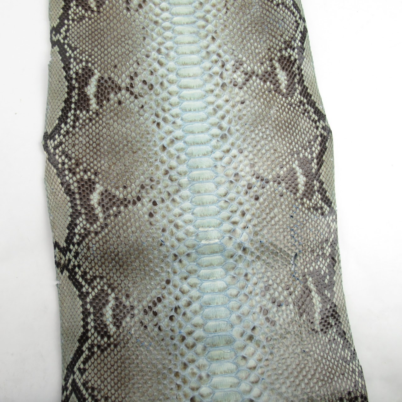 Python Skin #1