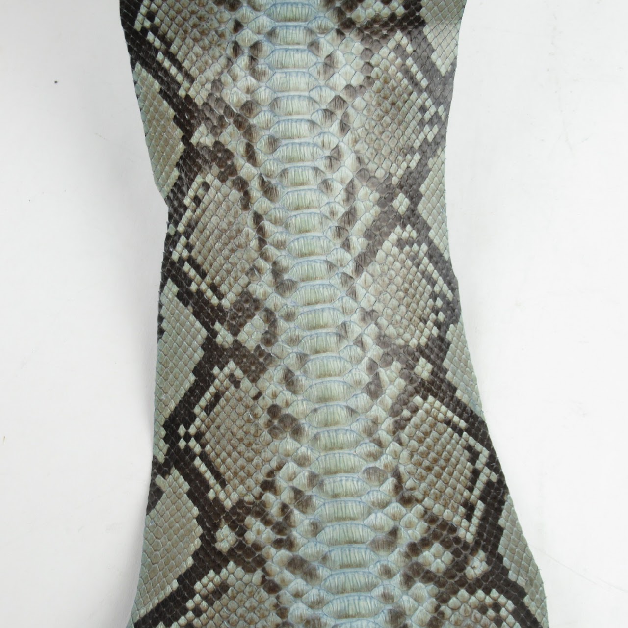 Python Skin #1