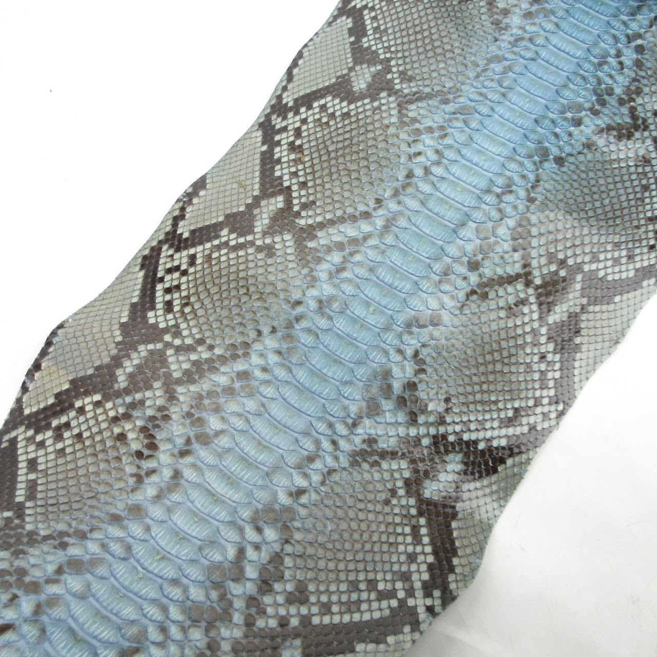 Python Skin #2