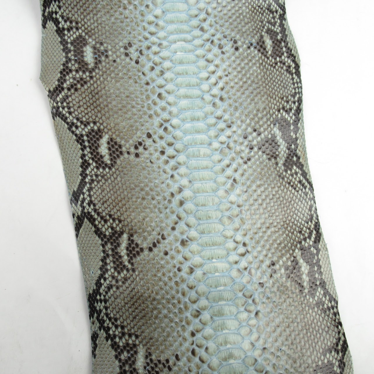 Python Skin #1