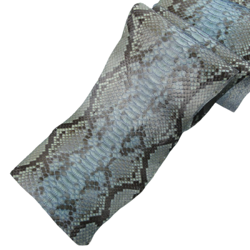 Python Skin #2