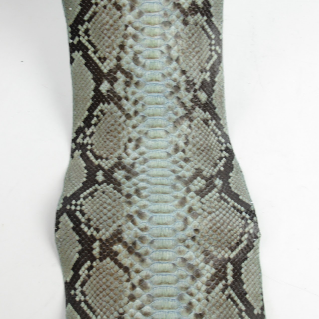 Python Skin #1