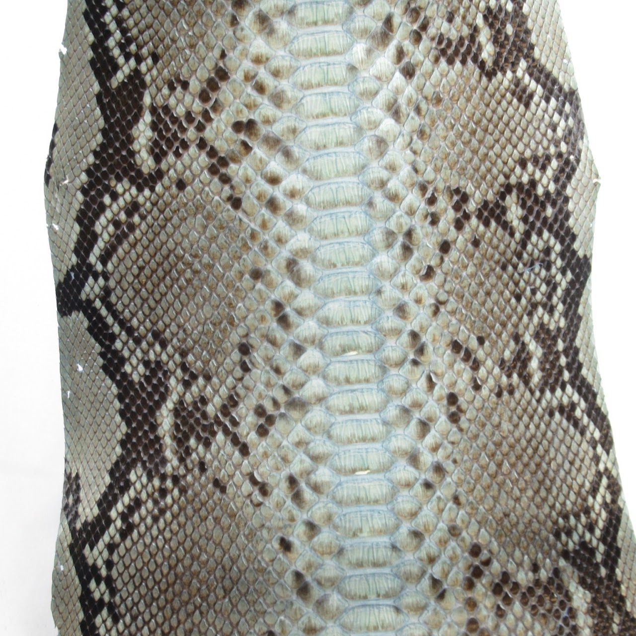 Python Skin #1