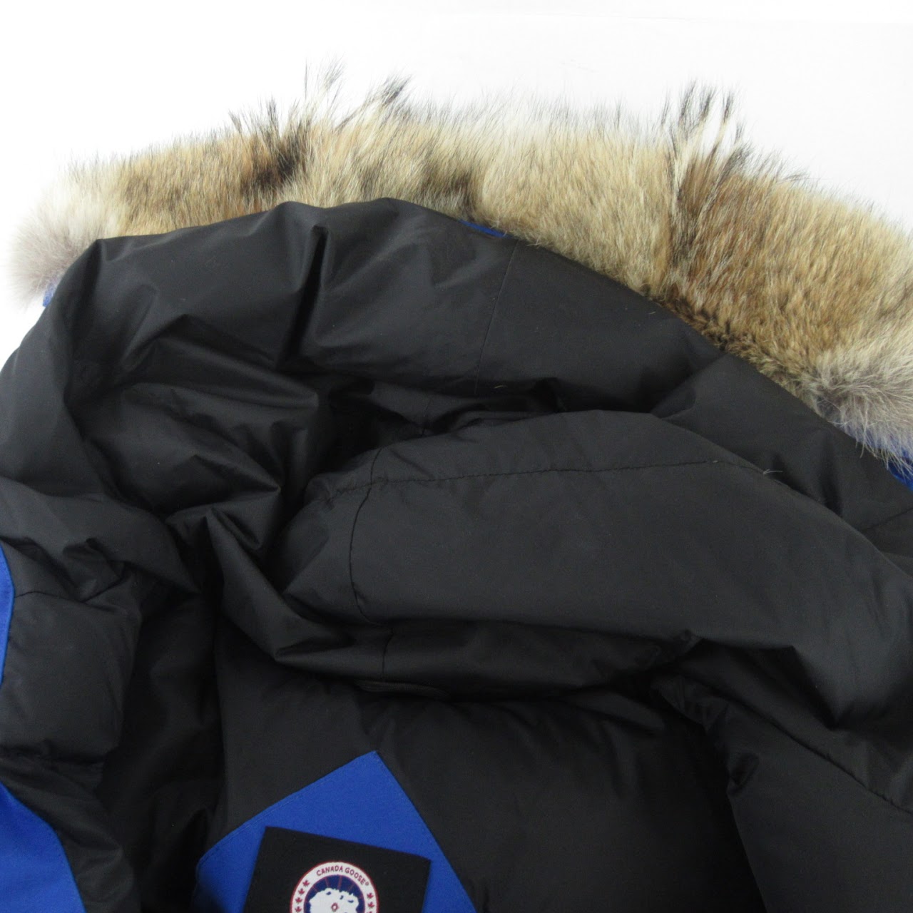 Canada Goose Expedition Parka PBI Royal Blue