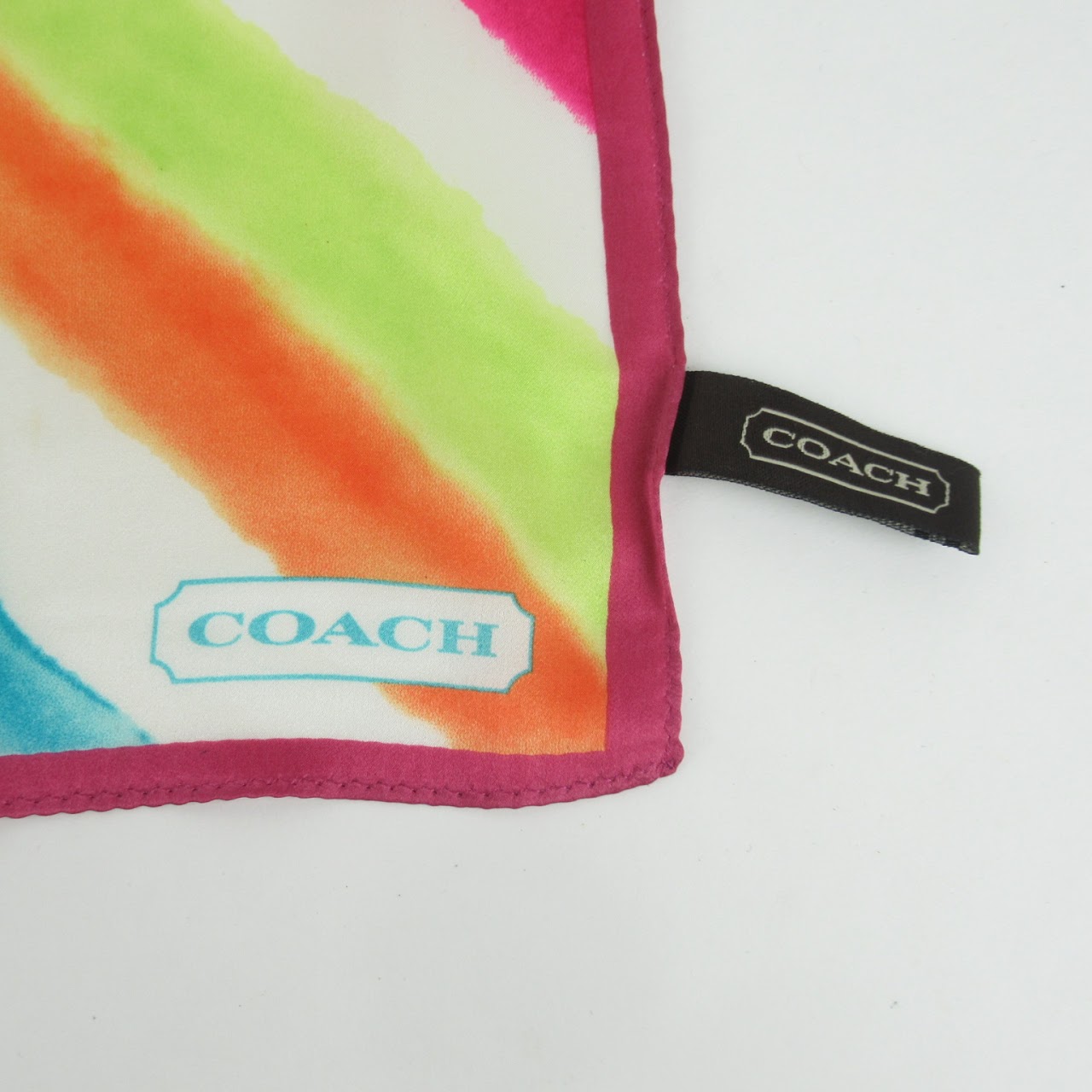 Coach Silk Striped Watercolor Scarf