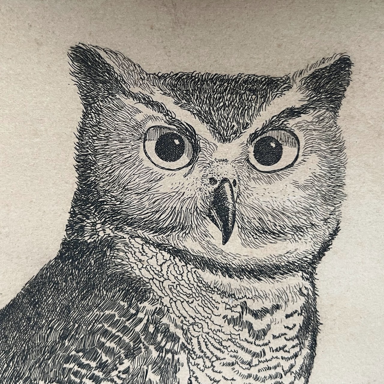 Dell Weller Signed 'Owl' Etching