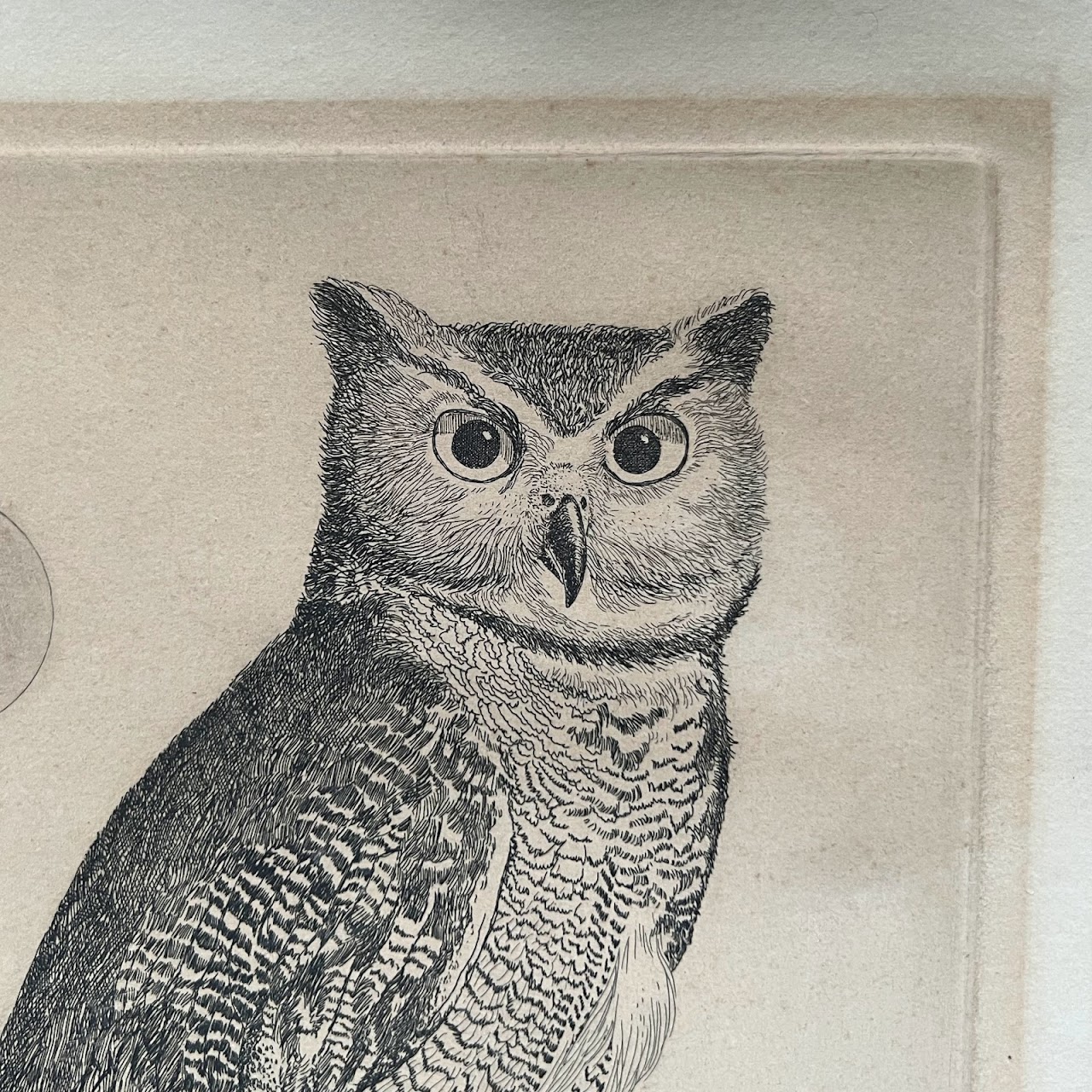 Dell Weller Signed 'Owl' Etching