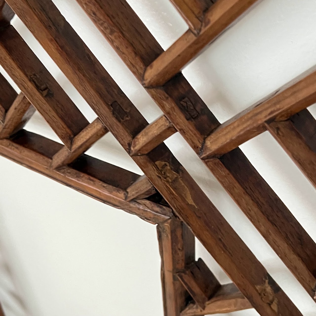 Geometric Large Scale Trellis Frame