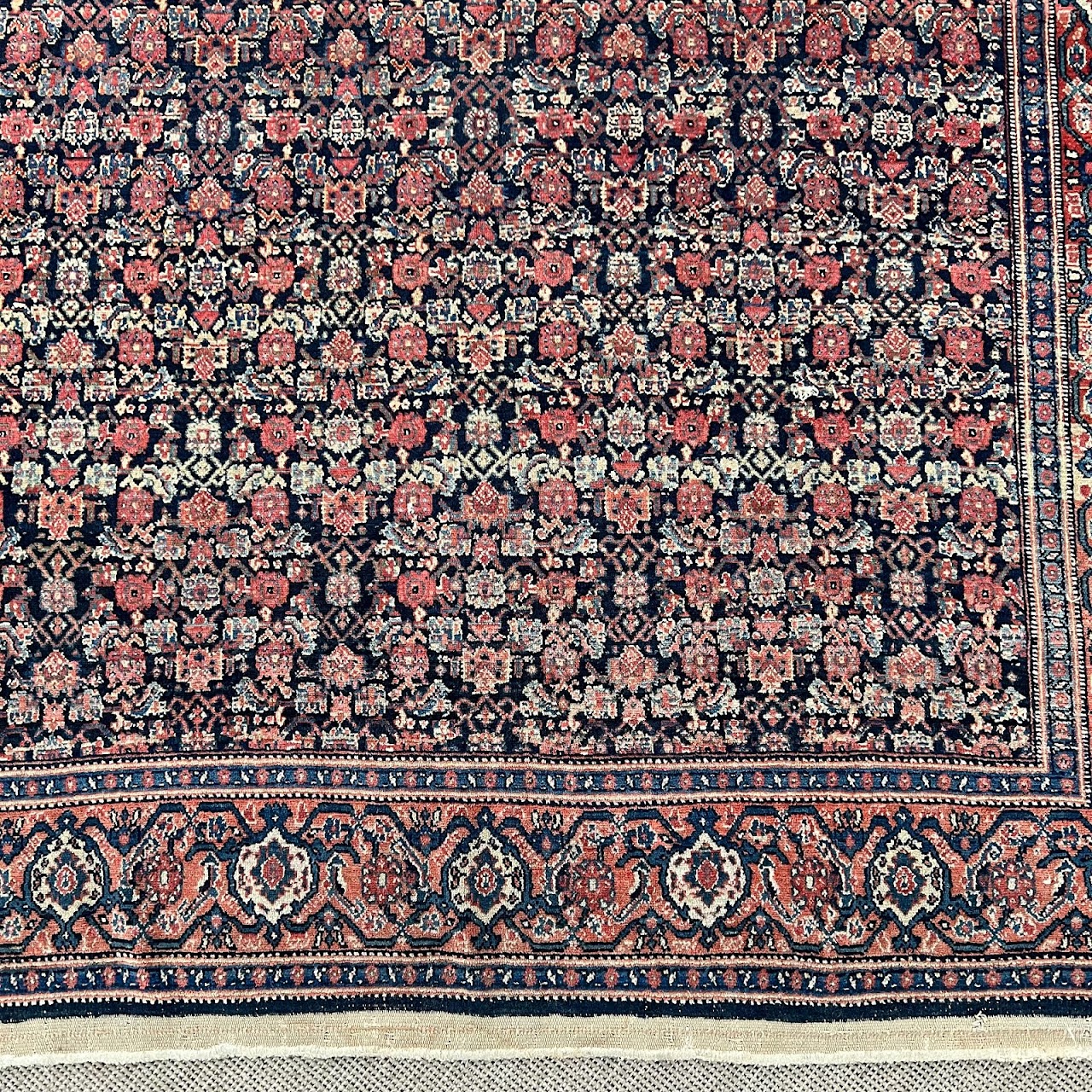 Wool Floral Area Rug