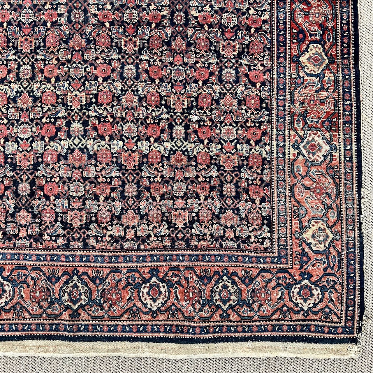 Wool Floral Area Rug