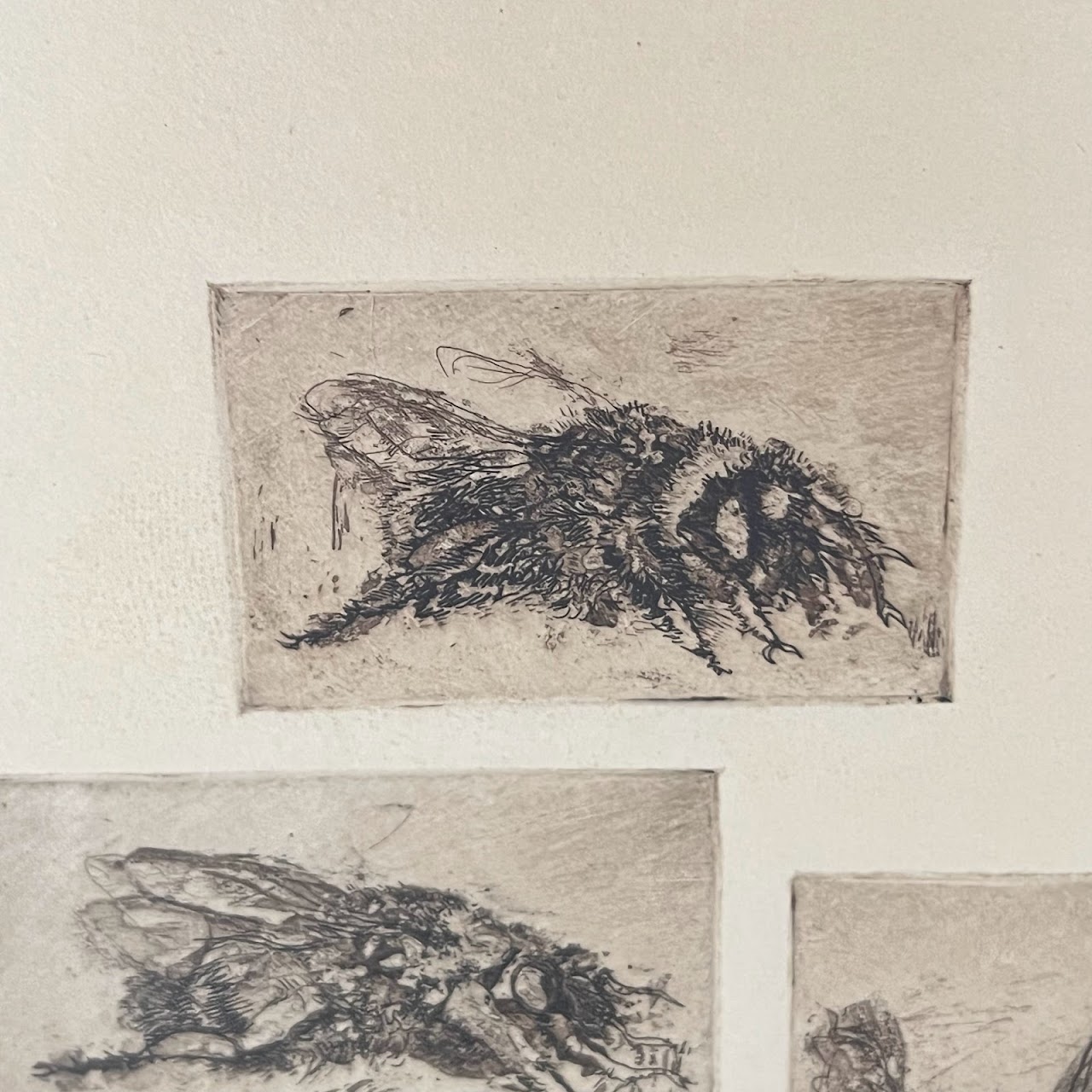 Jack Coughlin Signed '3 Bees' Etching