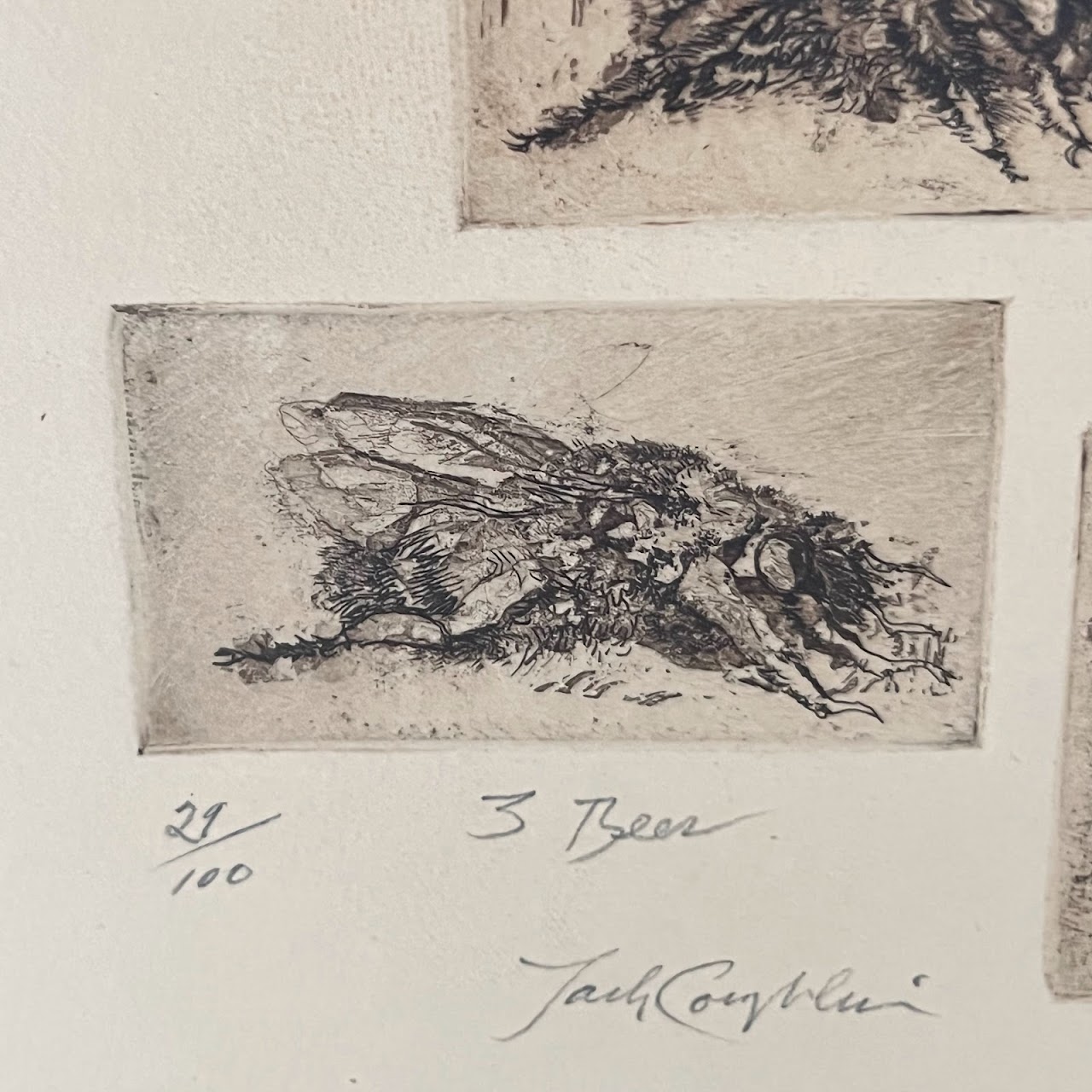 Jack Coughlin Signed '3 Bees' Etching