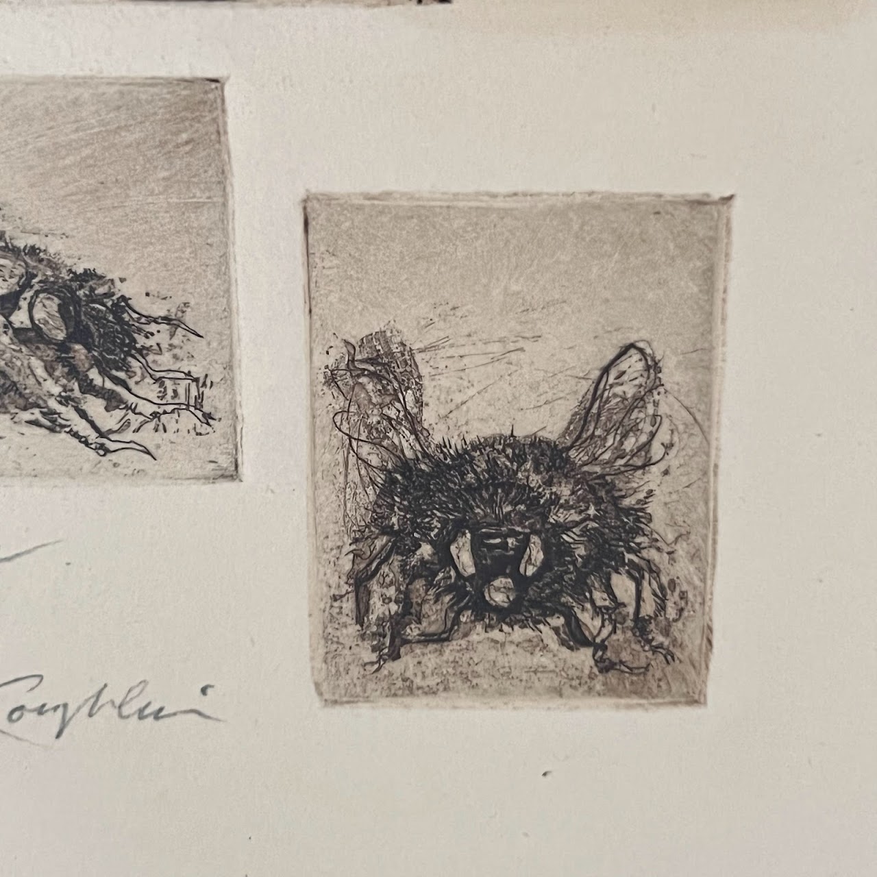 Jack Coughlin Signed '3 Bees' Etching