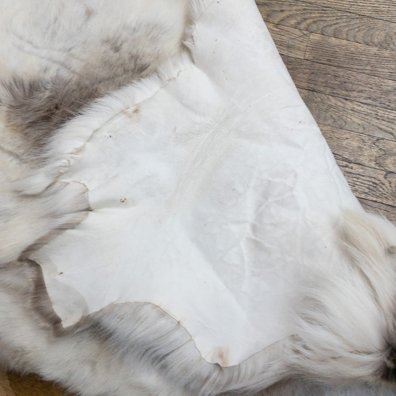 Goat Hide Rug