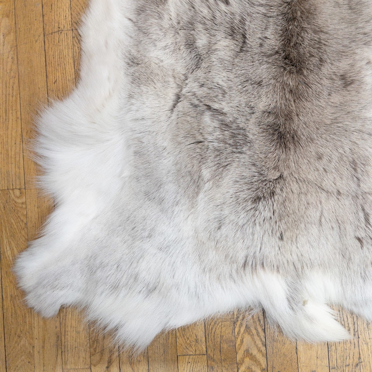 Goat Hide Rug