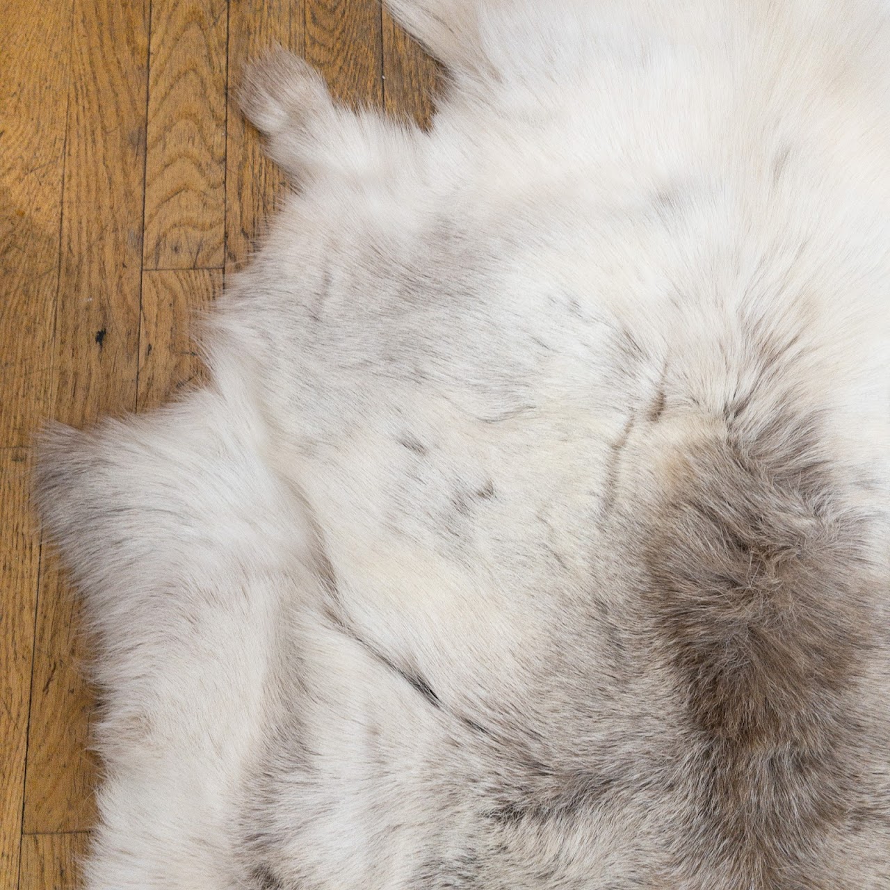 Goat Hide Rug