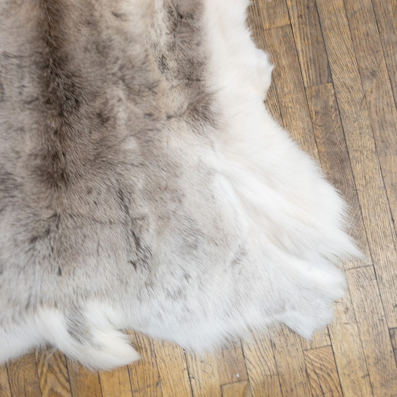 Goat Hide Rug