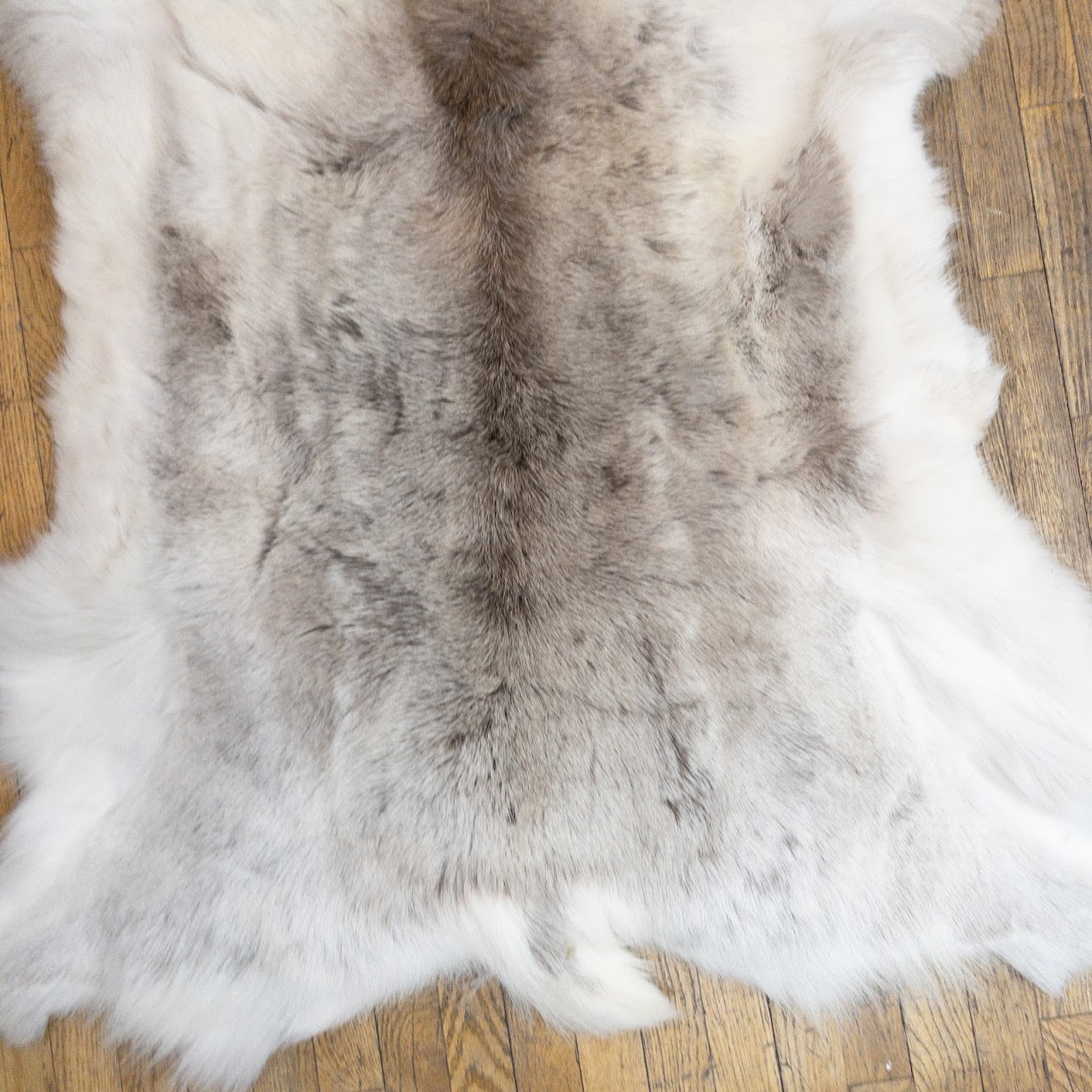 Goat Hide Rug