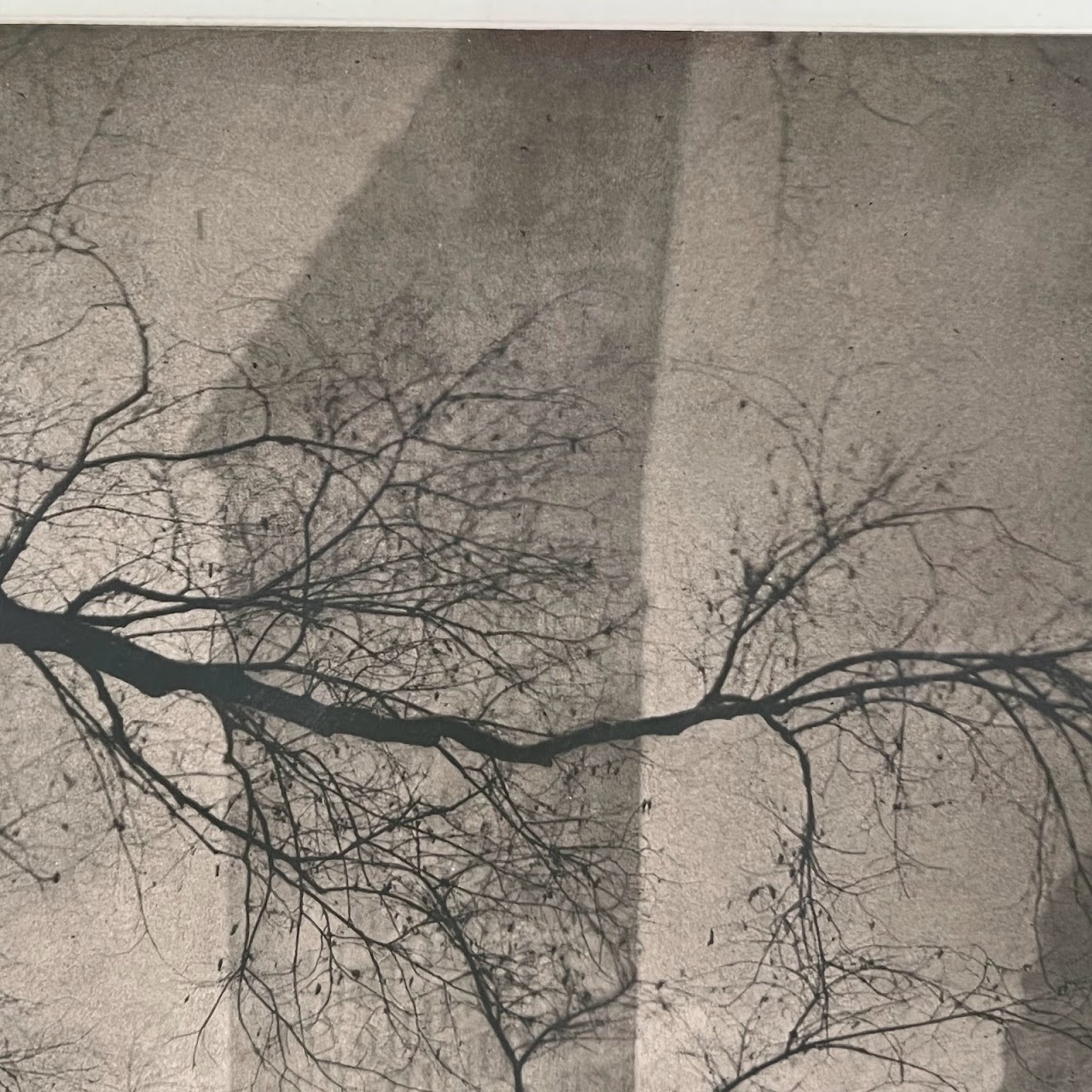 Edward Steichen 'The Flatiron' Photogravure