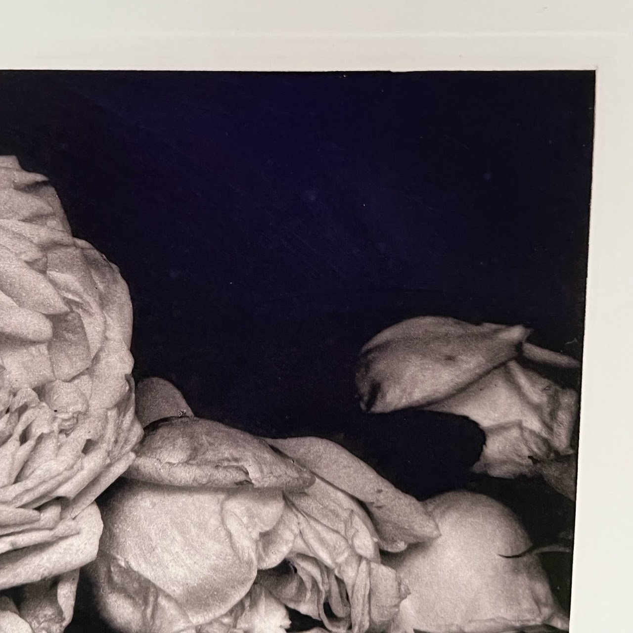 Edward Steichen 'Heavy Roses, Voulangis' Photogravure