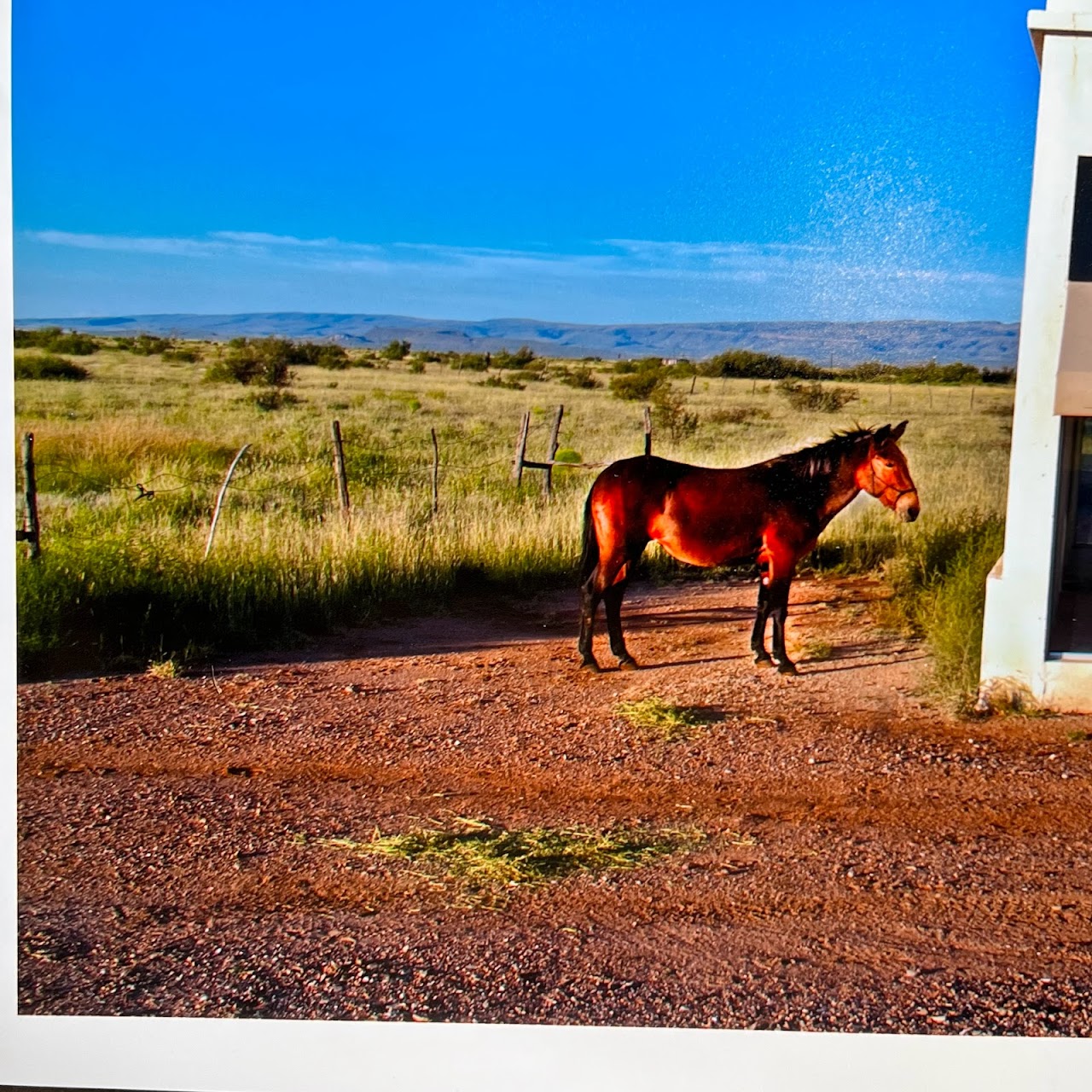 Prada Marfa Photograph Pair