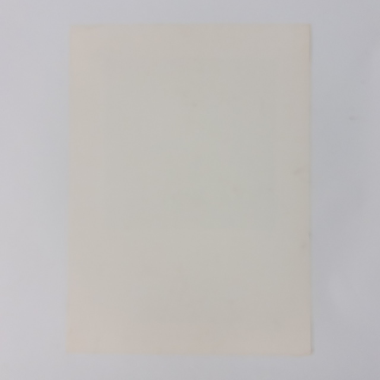 Sol Lewitt Wall Drawings 1968-1981 Gallery Show Off-Set Lithograph Poster