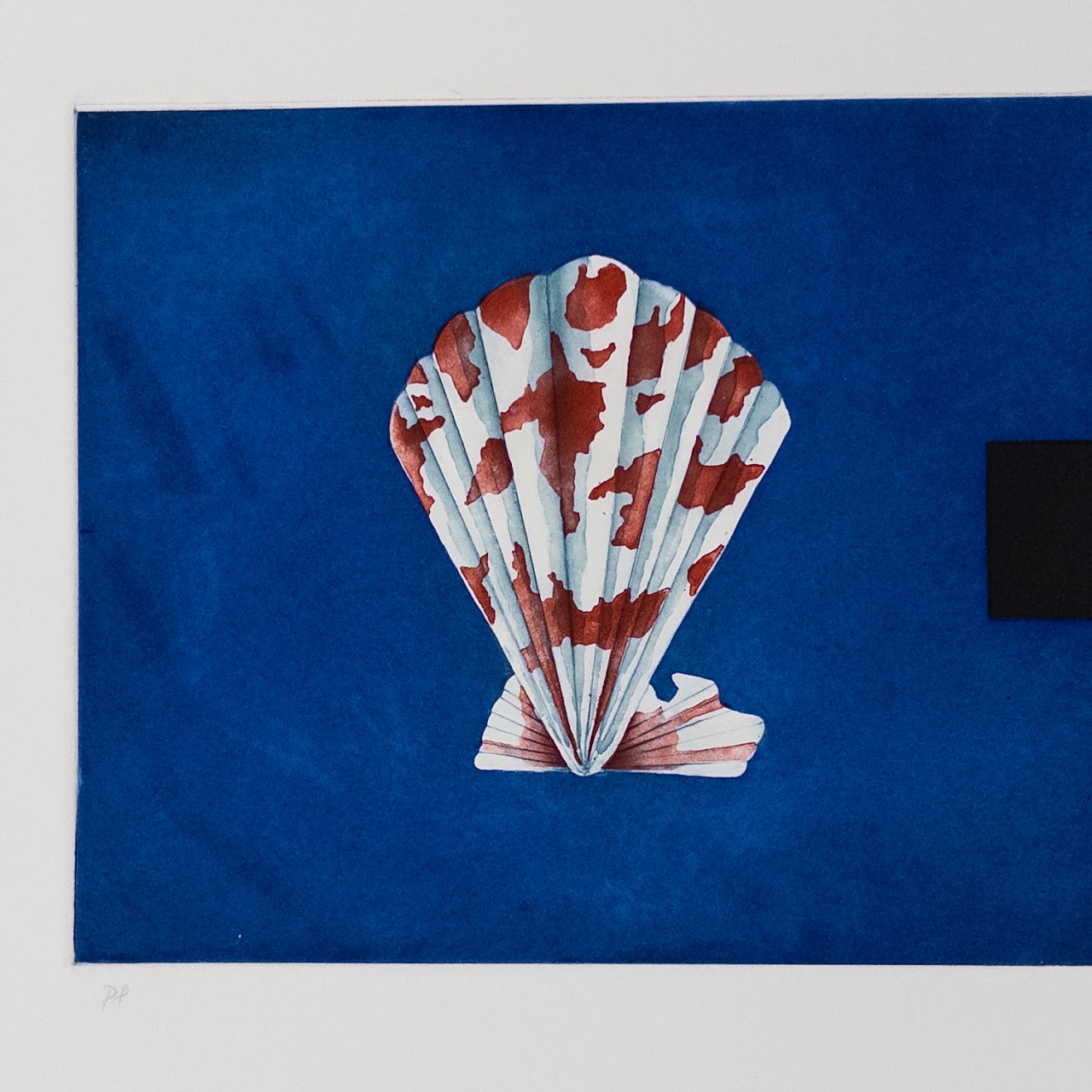 Toni Dove 'State 1 Shell' Etching in Color