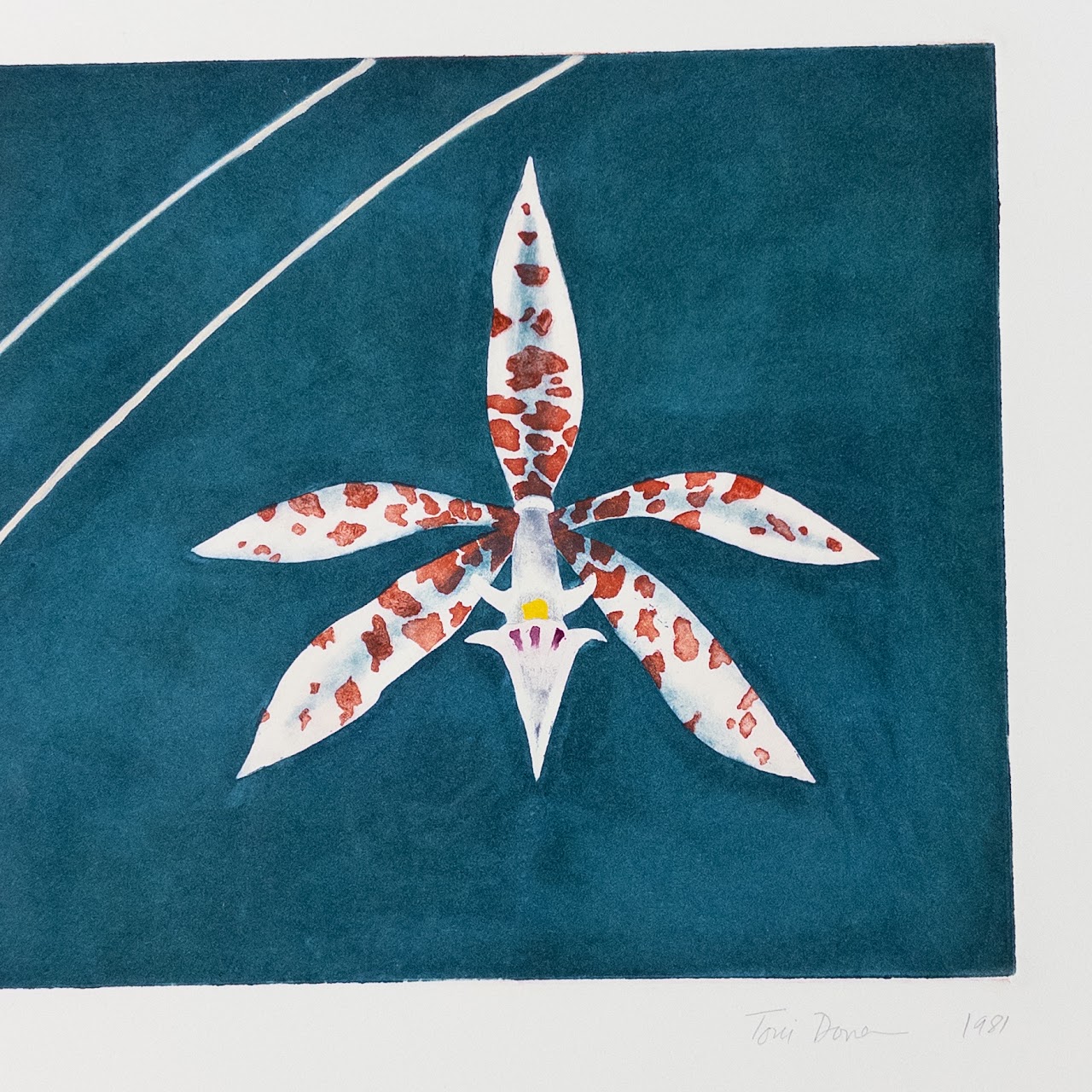 Toni Dove 'State 1 Flower' Etching in Color