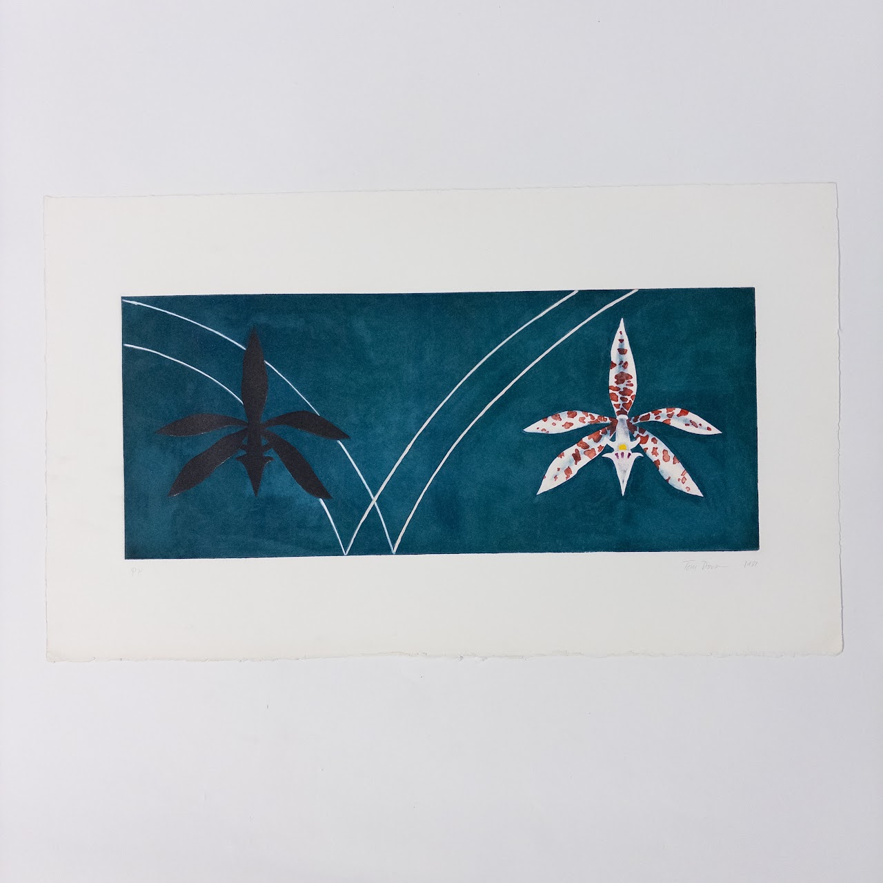 Toni Dove 'State 1 Flower' Etching in Color