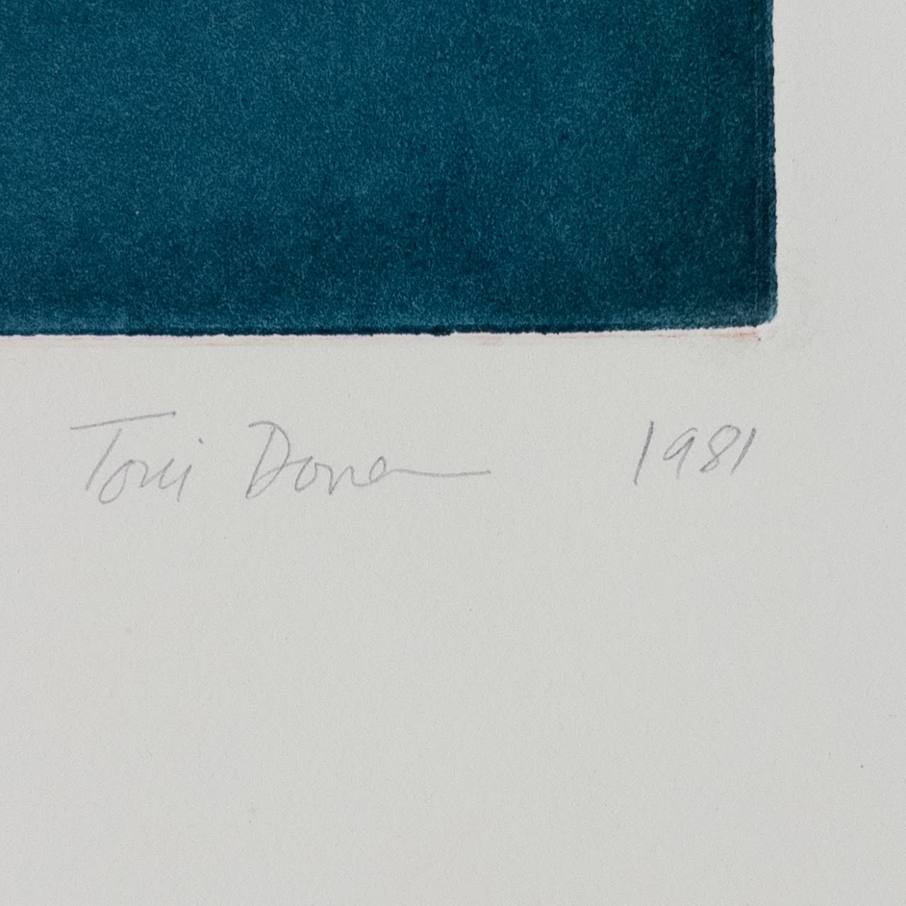 Toni Dove 'State 1 Flower' Etching in Color