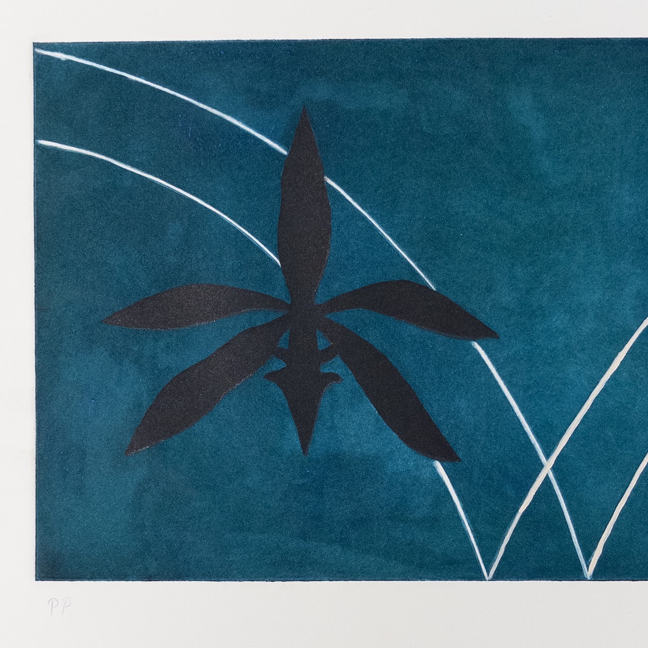 Toni Dove 'State 1 Flower' Etching in Color